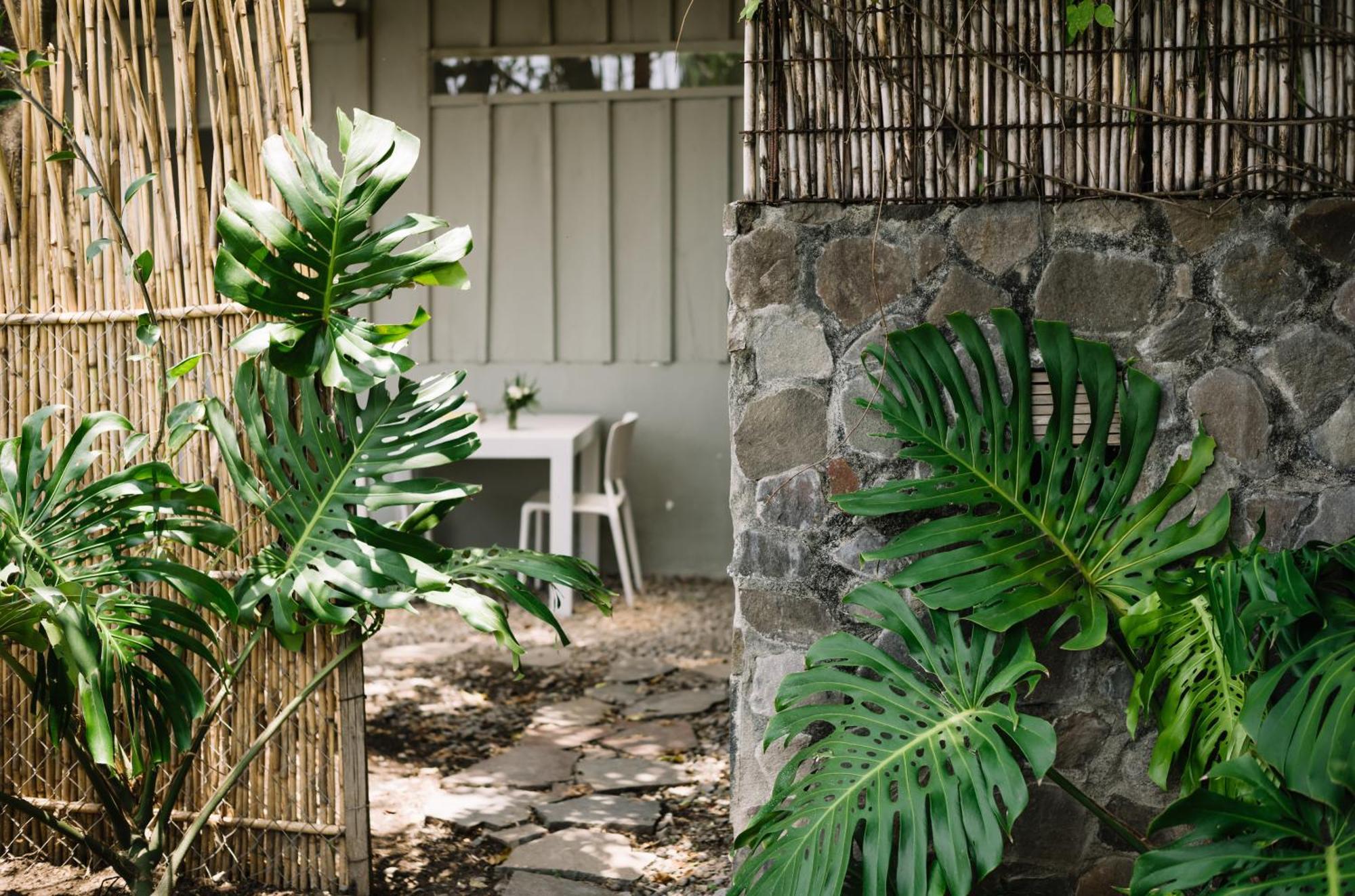 Anzan Atitlan Bed and Breakfast San Marcos La Laguna Εξωτερικό φωτογραφία